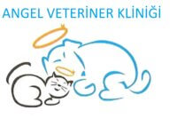 ANGEL_VETERYNER_001_5