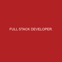 Full Stack Developer - Staj