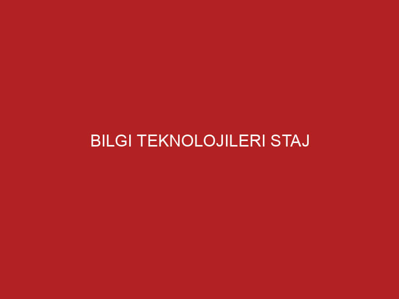 Bilgi Teknolojileri Staj