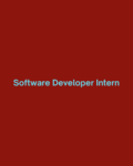 Software Developer Intern